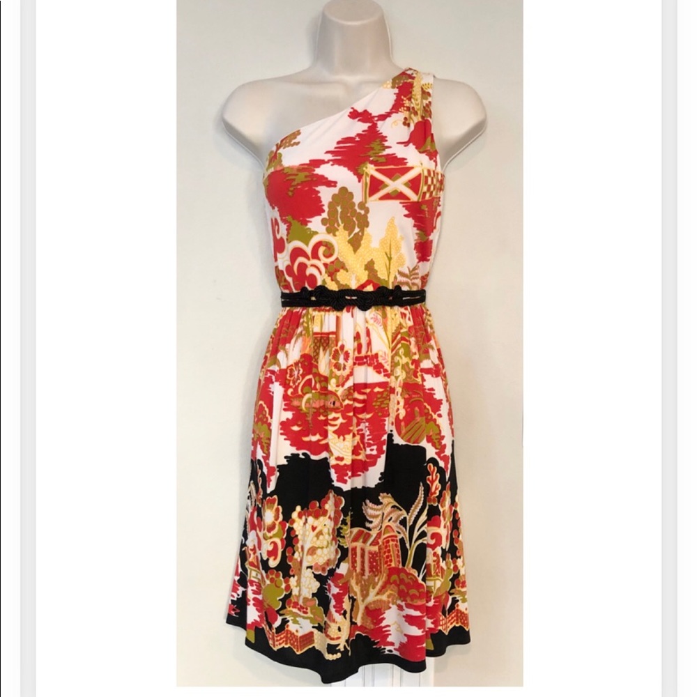 NWT Muse by Boston Proper dress. Sz 4